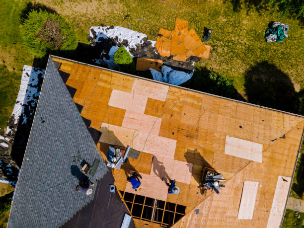Best Storm Damage Roof Repair  in West, TX